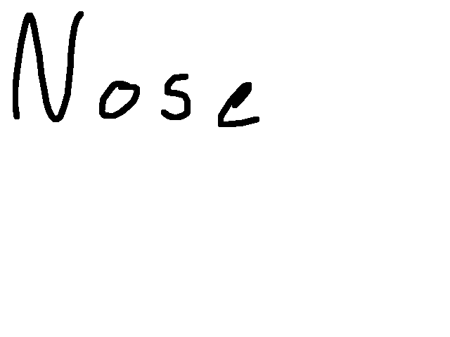 Nose drawing