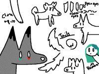 Improvement