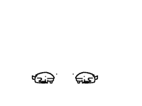 Froggo meet Froggy