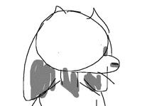 GOATS dont have NOSES