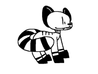 weird raccoon