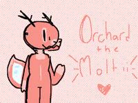 New OC