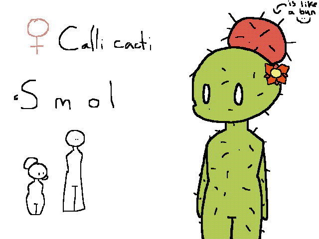 Calli Cacti ref