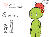 Calli Cacti ref