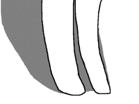 Detailed leg anim (it took rlly long)