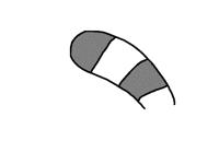 Really bad raccoon tail test