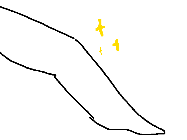 l e g