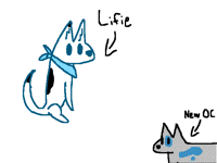 The results r in (I will draw Bax later today)