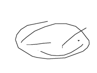 I lied