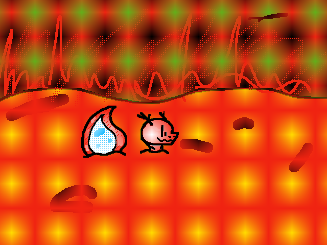 Moltii bab