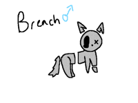 New OC
