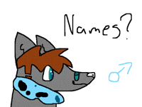 New OC
