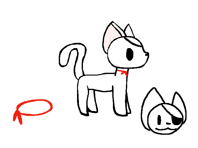 Sammi cat