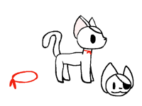Sammi cat