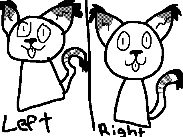 Left VS right