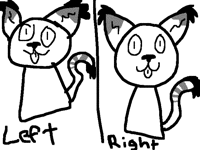Left VS right