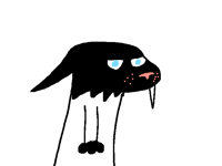 Bucky Katt