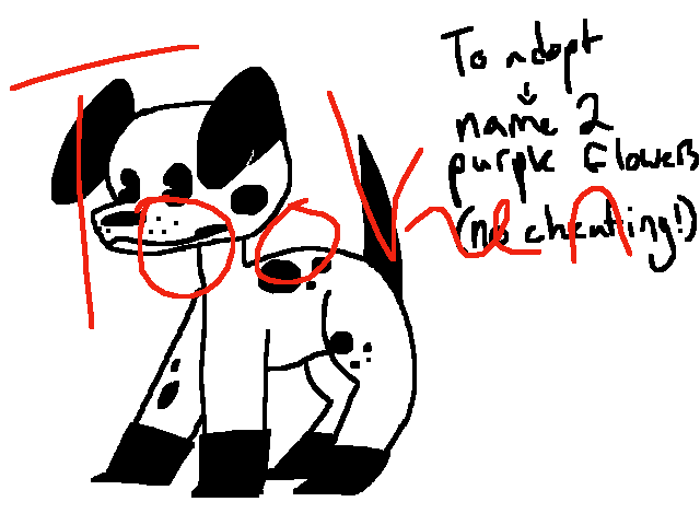 ADOPTABLE BAB