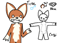 New OC