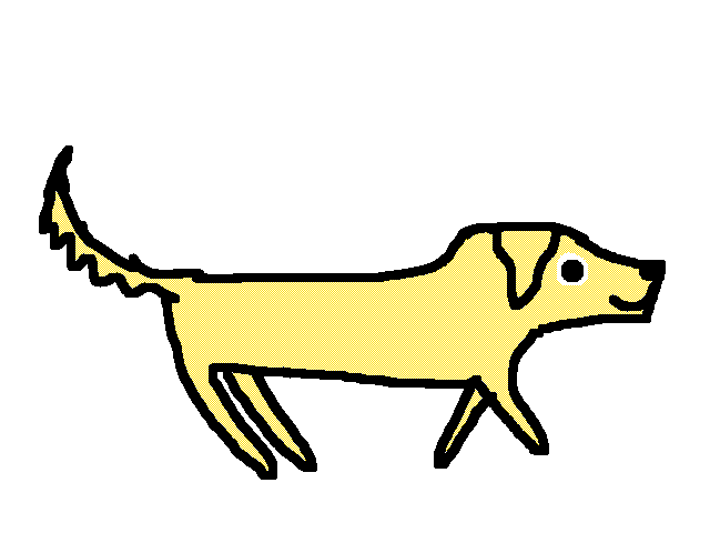 My pets