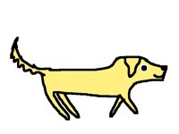 My pets