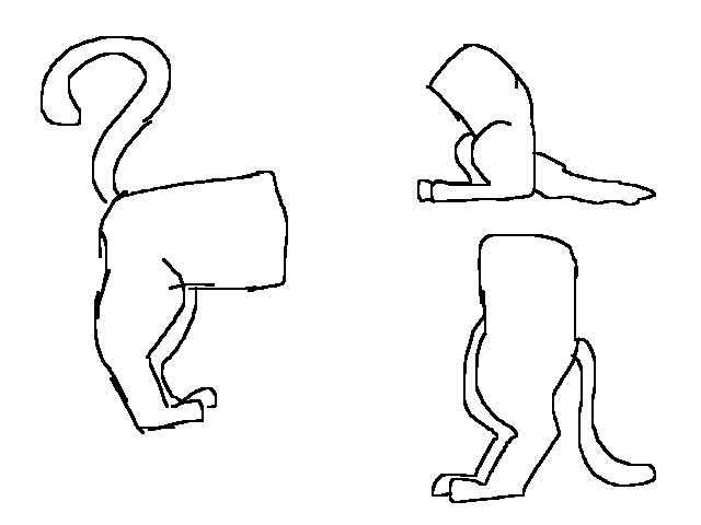 New species wip--