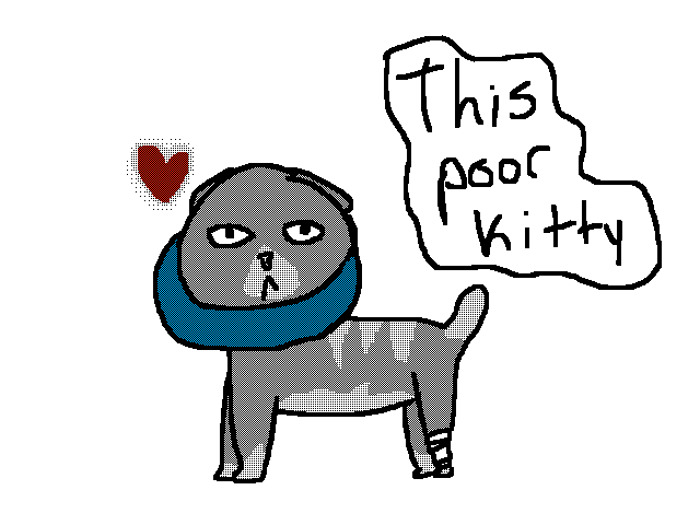 This poor cat