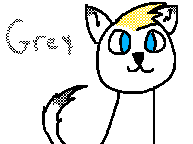 New OC grey