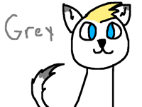 New OC grey