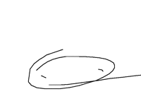 I made carrot cake and want to make it a furry