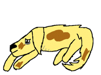 Poor puppy