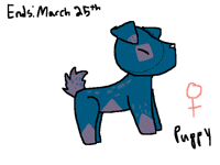 Auction for this doggo!
