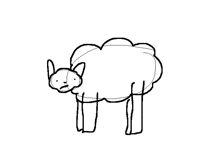 Sexy sheep