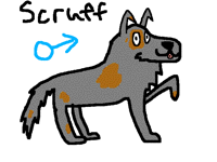 New OC