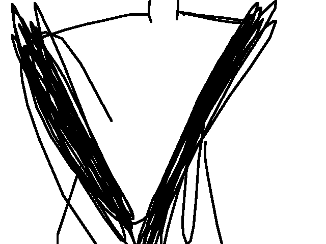 The joke is i can't draw hips