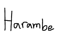 Rip Harambe XD (flash warning)