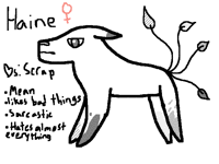 New OC