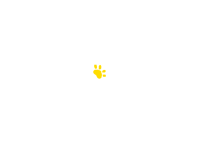 "Dog paw"