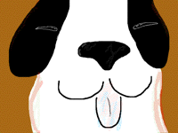 Saint bernard