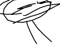 aAAAAAA A BIRD FLEW INTO ME WINDOW--
