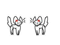 Kitter meet catto