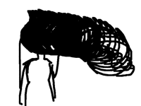 h