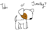 What do i name this stupid dog