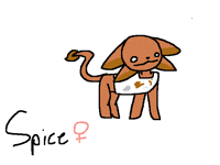 Ang's pets