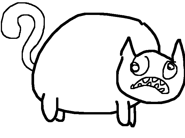 Fat kitty