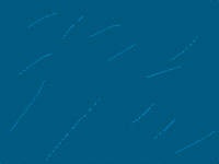 Storm