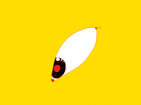 DemonEye