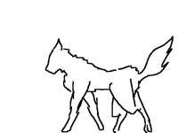 Wolf3