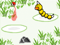 Pokemon Battle