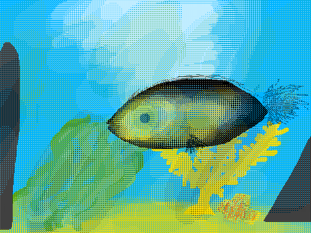 Fish  (a little fail?)
